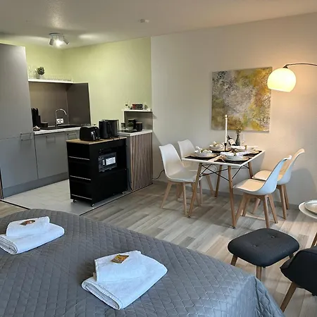 Apartmán Beluna Living - Business&family - 200m Zum Schlosseingang, Parkplatz, Smarttv, Netflix, Waschmaschine, 24h Checkin, 41qm, Wlan Ludwigsburg